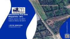 Foto Immobile in asta di 13550 m in vendita a Vittoria