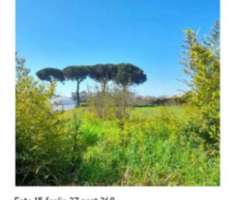 Foto Immobile in asta di 1380 m in vendita a Minturno