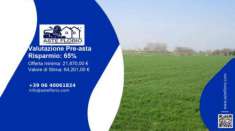 Foto Immobile in asta di 14 m in vendita a Moglia