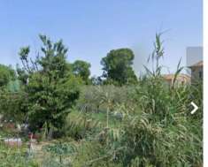 Foto Immobile in asta di 14294 m in vendita a Loreto