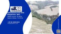 Foto Immobile in asta di 143403 m in vendita a Urbino