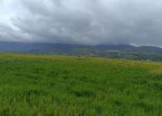 Foto Immobile in asta di 14472 m in vendita a Sant'Arsenio