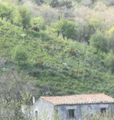 Foto Immobile in asta di 150 m in vendita a Messina