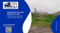 Foto Immobile in asta di 160000 m in vendita a Argenta