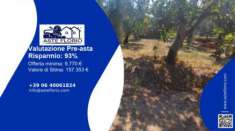 Foto Immobile in asta di 17524 m in vendita a Sonnino