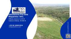 Foto Immobile in asta di 17980 m in vendita a Spezzano Albanese