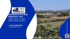 Foto Immobile in asta di 18272 m in vendita a Montefalco