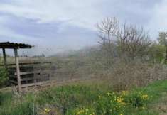 Foto Immobile in asta di 18408 m in vendita a Copparo