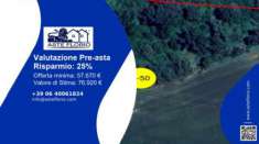 Foto Immobile in asta di 19107 m in vendita a Belmonte Piceno