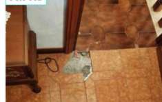 Foto Immobile in asta di 192 m in vendita a Viterbo