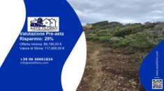 Foto Immobile in asta di 195953 m in vendita a Arzachena