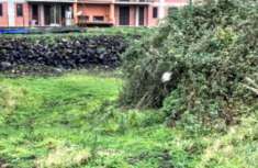 Foto Immobile in asta di 2 m in vendita a Acireale