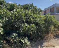 Foto Immobile in asta di 2 m in vendita a Barletta