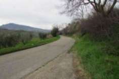 Foto Immobile in asta di 2 m in vendita a Castignano