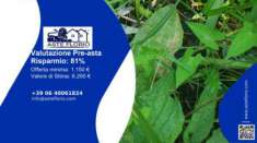 Foto Immobile in asta di 2 m in vendita a Catanzaro