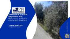 Foto Immobile in asta di 203 m in vendita a Imperia