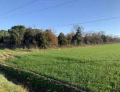 Foto Immobile in asta di 204 m in vendita a Grosseto