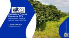 Foto Immobile in asta di 21992 m in vendita a Ramacca