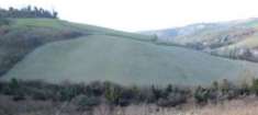 Foto Immobile in asta di 22060 m in vendita a Castrocaro Terme e Terra del Sole