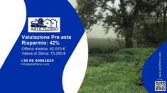 Foto Immobile in asta di 22330 m in vendita a Monticelli d'Ongina