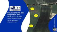 Foto Immobile in asta di 22350 m in vendita a Petritoli