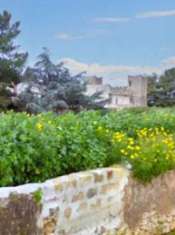 Foto Immobile in asta di 22935 m in vendita a Castelvetrano