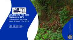 Foto Immobile in asta di 2402 m con pi di 5 locali in vendita a Aulla