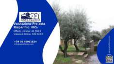 Foto Immobile in asta di 244 m con pi di 5 locali in vendita a Lanuvio