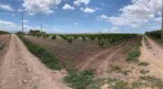 Foto Immobile in asta di 25 m in vendita a Mazzarrone