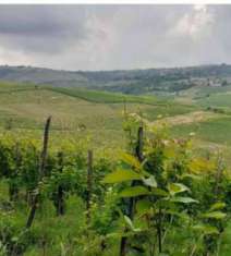 Foto Immobile in asta di 2535 m in vendita a Borgoratto Mormorolo