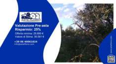 Foto Immobile in asta di 25538 m in vendita a Bitonto
