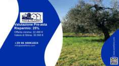 Foto Immobile in asta di 2560 m in vendita a Sant'Elpidio a Mare