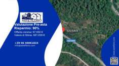 Foto Immobile in asta di 2681 m con pi di 5 locali in vendita a Trecchina