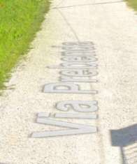 Foto Immobile in asta di 269 m con pi di 5 locali in vendita a Sustinente