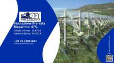 Foto Immobile in asta di 27 m in vendita a Licodia Eubea