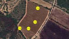 Foto Immobile in asta di 27145 m in vendita a Muravera