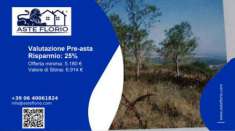 Foto Immobile in asta di 27656 m in vendita a Picerno