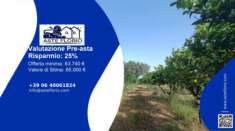Foto Immobile in asta di 27870 m in vendita a Polistena