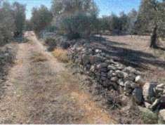 Foto Immobile in asta di 2794 m in vendita a Ruvo di Puglia