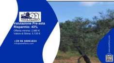 Foto Immobile in asta di 2800 m in vendita a San Demetrio Corone