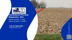 Foto Immobile in asta di 2876 m in vendita a Nogara