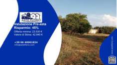 Foto Immobile in asta di 29 m in vendita a Viterbo