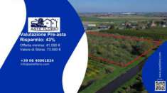 Foto Immobile in asta di 29309 m in vendita a Cerea