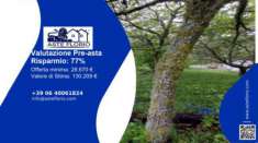 Foto Immobile in asta di 309 m in vendita a Avigliano