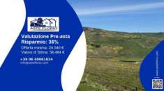 Foto Immobile in asta di 31288 m in vendita a Castronovo di Sicilia
