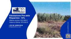 Foto Immobile in asta di 31629 m in vendita a Elmas