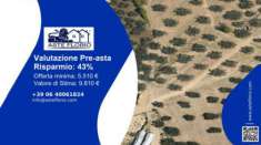 Foto Immobile in asta di 3270 m in vendita a Spoltore