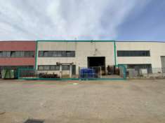 Foto Immobile in asta di 330 m con pi di 5 locali in vendita a Ripatransone