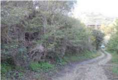 Foto Immobile in asta di 3330 m in vendita a Messina