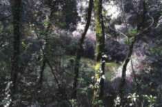 Foto Immobile in asta di 3450 m in vendita a Perugia